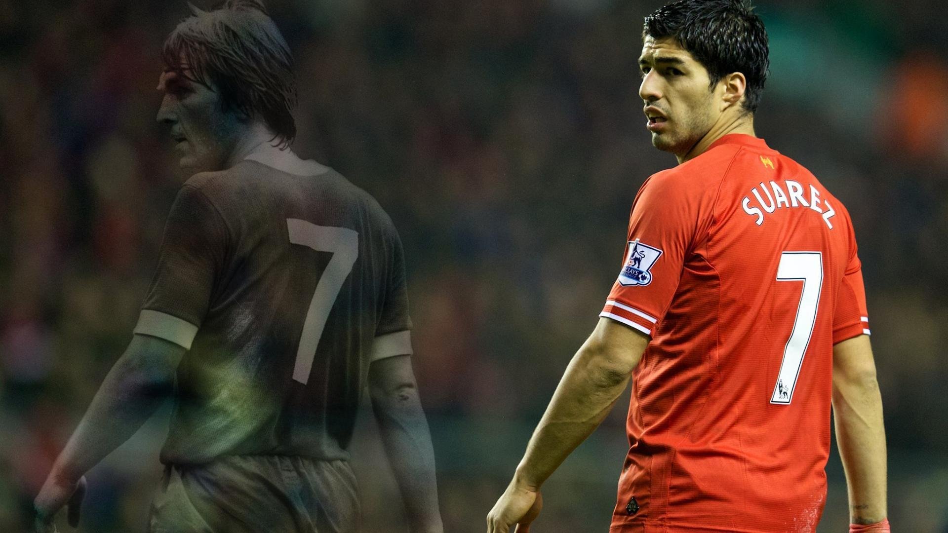 球迷文化的力量,从看台到社区,体育精神如何凝聚人心