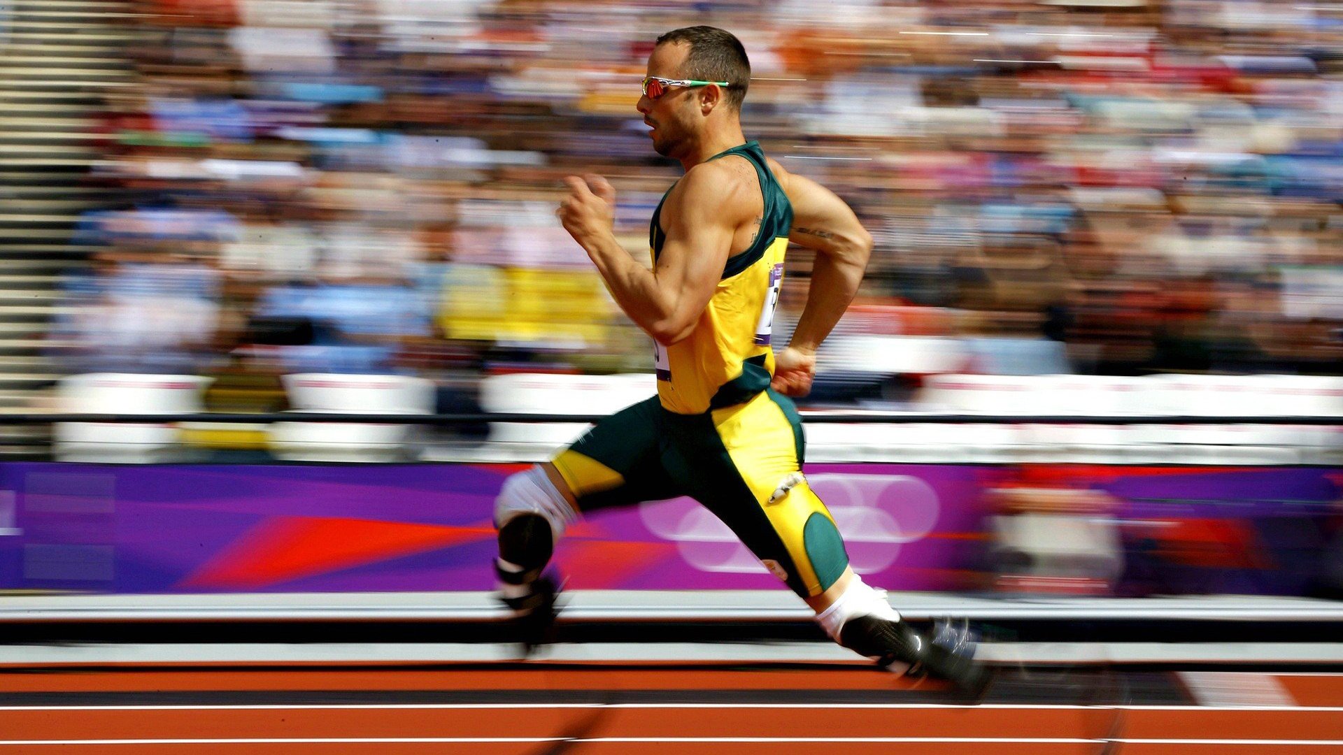 国际帆船赛圆满落幕 荷兰队逆风翻盘夺冠